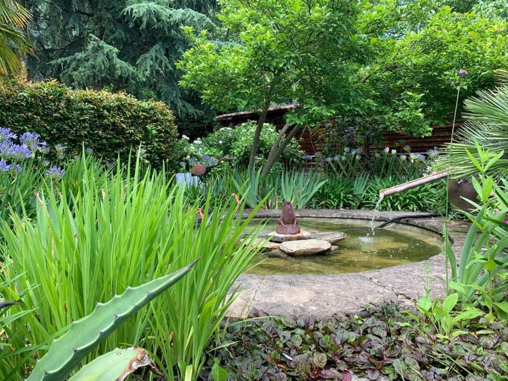Maison En Pierre Dans Son Nid De Verdure Roz-Landrieux Екстериор снимка