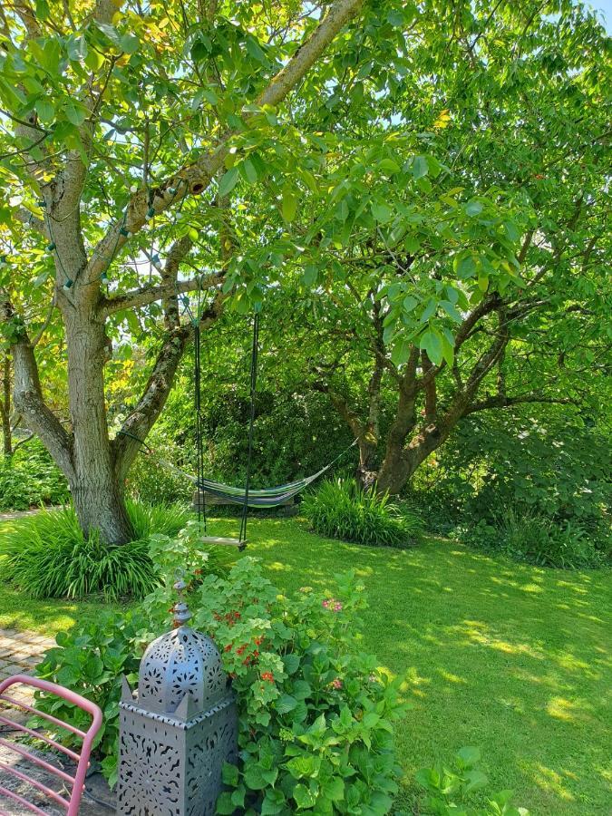Maison En Pierre Dans Son Nid De Verdure Roz-Landrieux Екстериор снимка