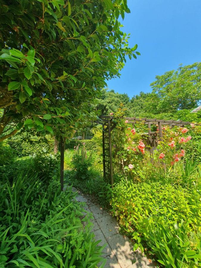 Maison En Pierre Dans Son Nid De Verdure Roz-Landrieux Екстериор снимка