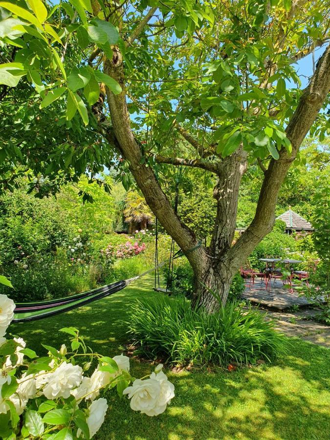 Maison En Pierre Dans Son Nid De Verdure Roz-Landrieux Екстериор снимка